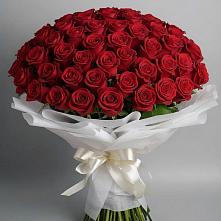 Букет 101 Красная роза Блэк Мэджик #REPLACE_PRED# Голубинской