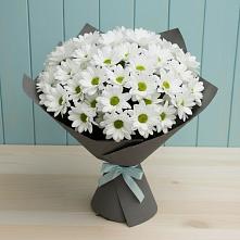 Букет цветов из:  Хризантемы #REPLACE_PRED# Голубинской