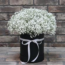 Цветочная композиция из Гипсофила в шляпной коробке в Голубинской