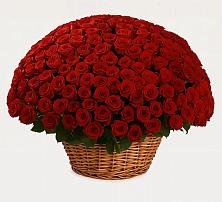 Премиум букет из: Розы в Голубинской